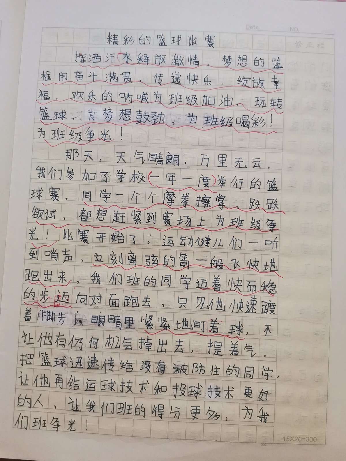 篮球训练心得300字左右三年级